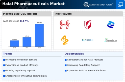 Halal Pharmaceuticals Market Infographic