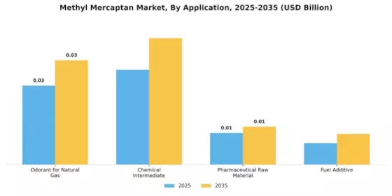 Methyl Mercaptan Market Segment Image 0