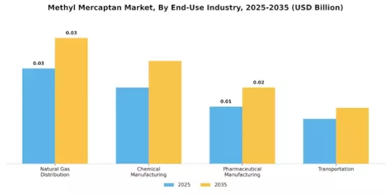 Methyl Mercaptan Market Segment Image 1