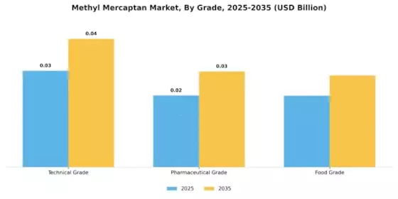 Methyl Mercaptan Market Segment Image 2