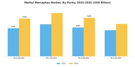 Methyl Mercaptan Market Segment Image 3
