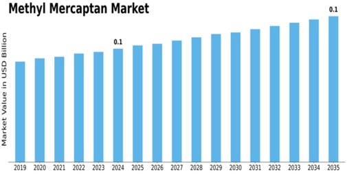 Methyl Mercaptan Market Size