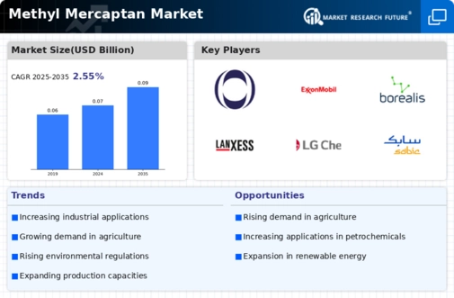 Methyl Mercaptan Market Infographic