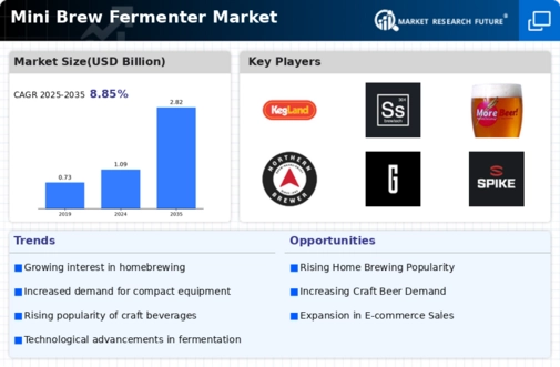 Mini Brew Fermenter Market Infographic