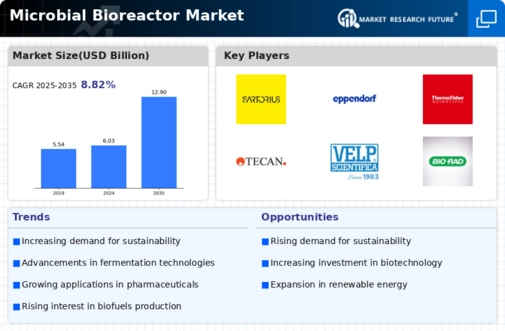 Microbial Bioreactor Market Infographic