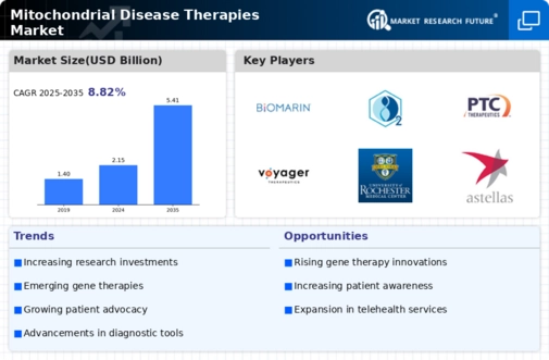 Mitochondrial Disease Therapies Market Infographic