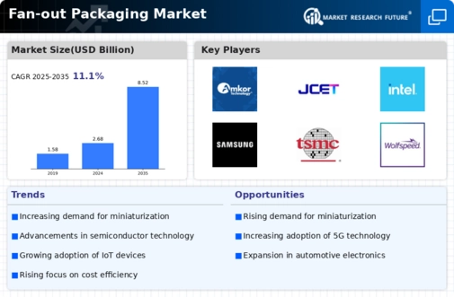 Fan Out Packaging Market Infographic