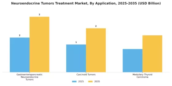 Neuroendocrine Tumors Treatment Market Segment Image 0