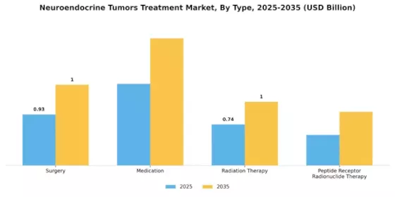 Neuroendocrine Tumors Treatment Market Segment Image 3