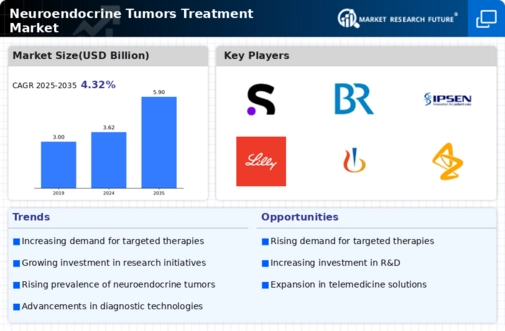 Neuroendocrine Tumors Treatment Market Infographic