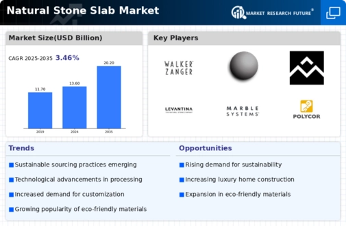 Natural Stone Slab Market Infographic