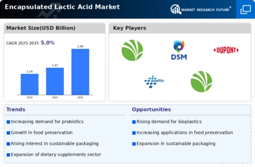 Encapsulated Lactic Acid Market Infographic