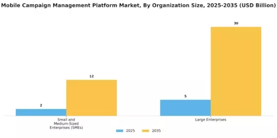 Mobile Campaign Management Platform Market Segment Image 2
