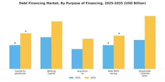 Debt Financing Market Segment Image 3
