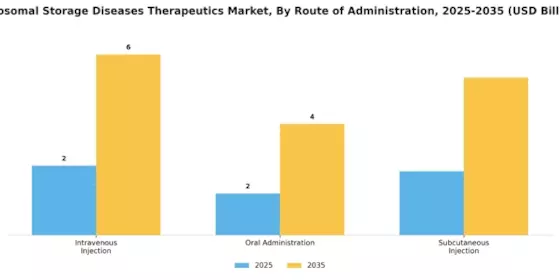 Lysosomal Storage Diseases Therapeutics Market Segment Image 1