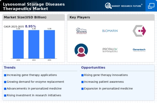 Lysosomal Storage Diseases Therapeutics Market Infographic
