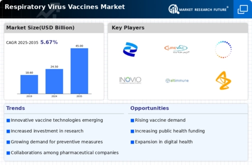 Respiratory Virus Vaccines Market Infographic