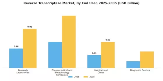 Reverse Transcriptase Market Segment Image 1