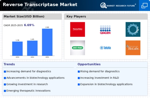 Reverse Transcriptase Market Infographic