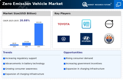 Zero Emission Vehicle Market Infographic