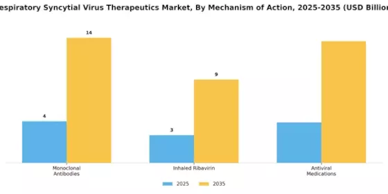Respiratory Syncytial Virus Therapeutics Market Segment Image 1