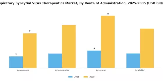Respiratory Syncytial Virus Therapeutics Market Segment Image 3
