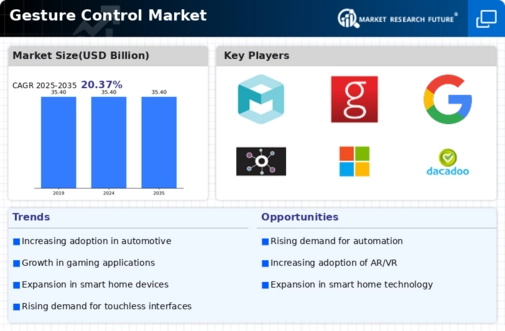Gesture Control Market Infographic