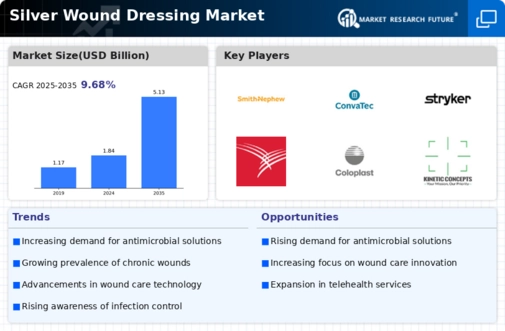 Silver Wound Dressing Market Infographic