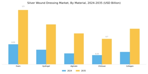 Silver Wound Dressing Market Segment Image 0