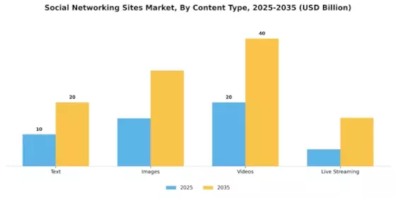 Social Networking Sites Market Segment Image 1
