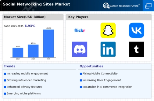 Social Networking Sites Market Infographic