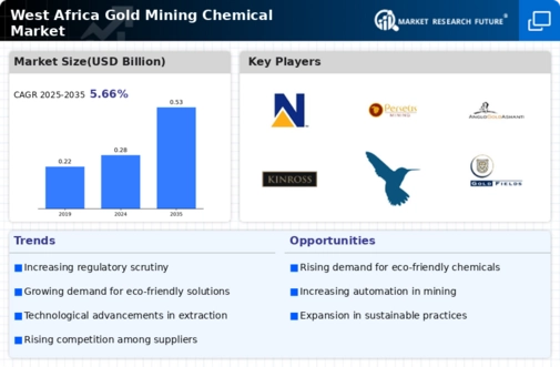 West Africa Gold Mining Chemical Market Infographic
