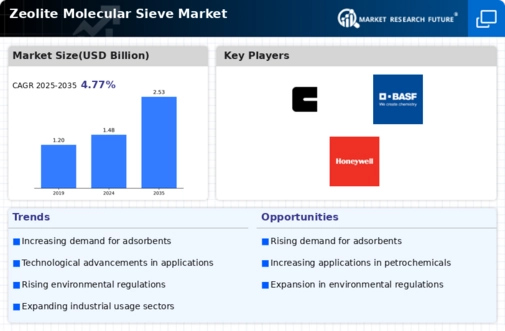 Zeolite Molecular Sieve Market Infographic