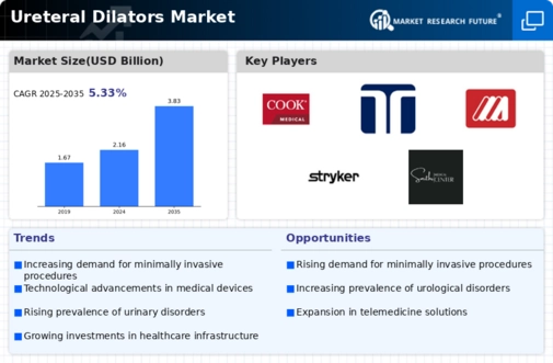 Ureteral Dilators Market Infographic