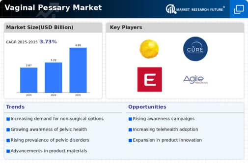 Vaginal Pessary Market Infographic