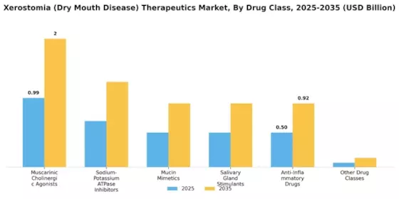 Xerostomia Dry Mouth Disease Therapeutics Market Segment Image 1