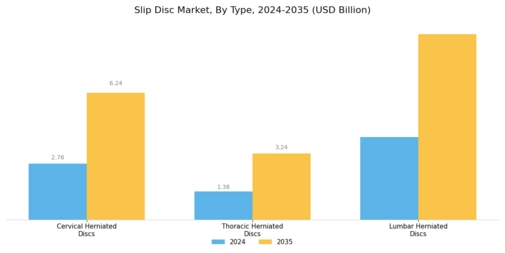 Slip Disc Market Segment Image 0
