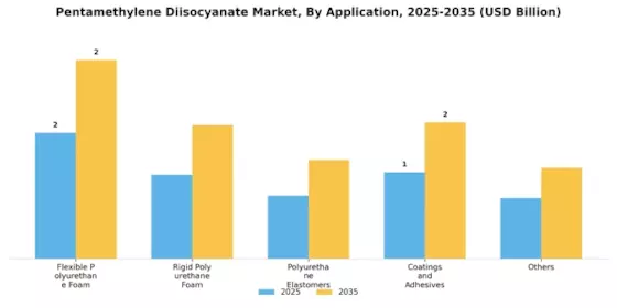 Pentamethylene Diisocyanate Market Segment Image 0