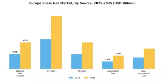 Ukraine Shale Gas Market Segment Image 3