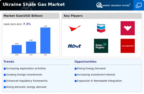 Ukraine Shale Gas Market Infographic