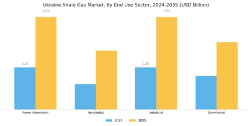 Ukraine Shale Gas Market Segment Image 3