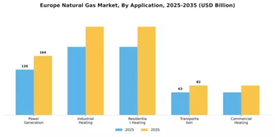 Ukraine Natural Gas Market Segment Image 0