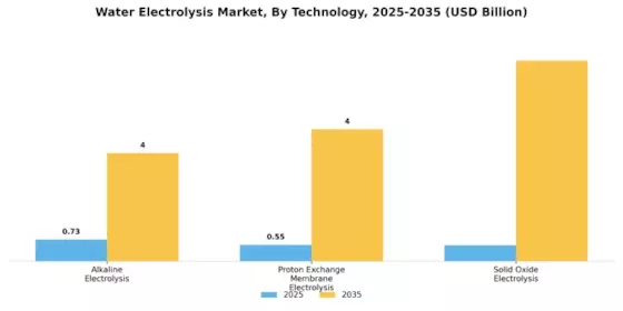 Water Electrolysis Market Segment Image 3