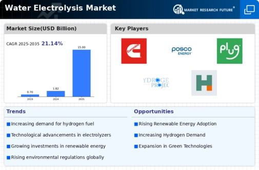 Water Electrolysis Market Infographic