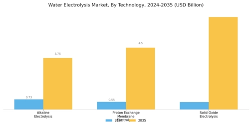 Water Electrolysis Market Segment Image 0