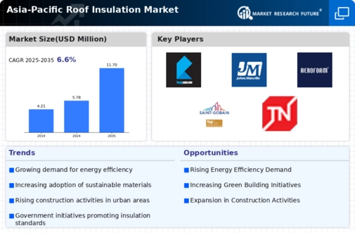 Asia Pacific Roof Insulation Market Infographic