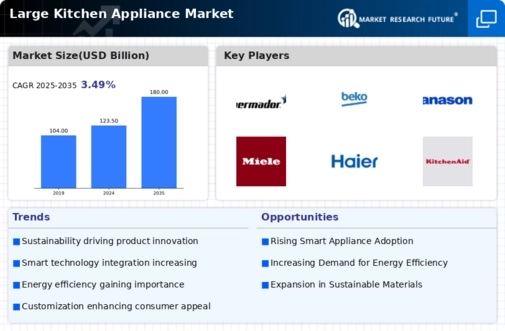 Large Kitchen Appliance Market Infographic