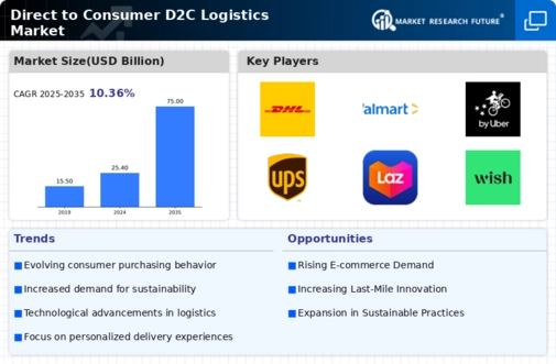Direct to Consumer Logistics Market Infographic