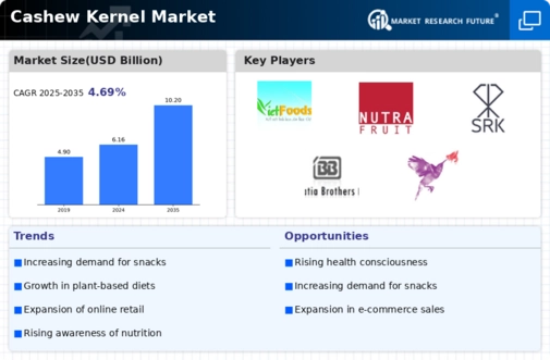 Cashew Kernel Market
 Infographic