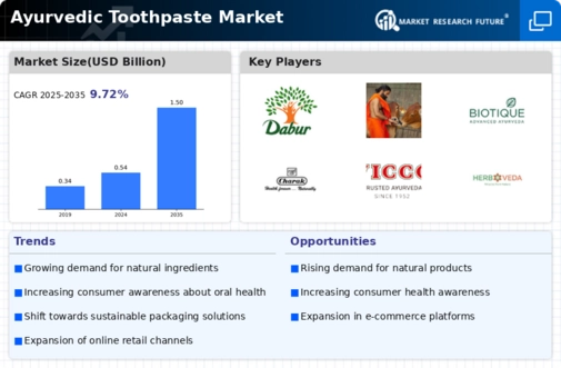 Ayurvedic Toothpaste Market Infographic